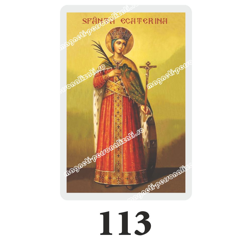 113 Set 100 Iconite Plastifiate, 113, Sfanta Ecaterina