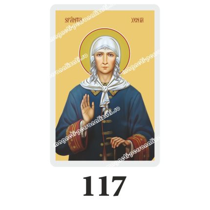 Set 100 Iconite Plastifiate, 117, Sfanta Xenia