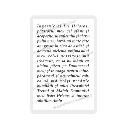 Set 100 Iconite Plastifiate, 137, Ingerul Pazitor