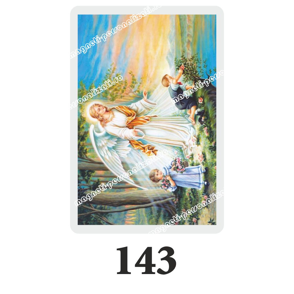 143 Set 100 Iconite Plastifiate, 143, Ingeras