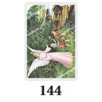 Set 100 Iconite Plastifiate, 144, Ingeras