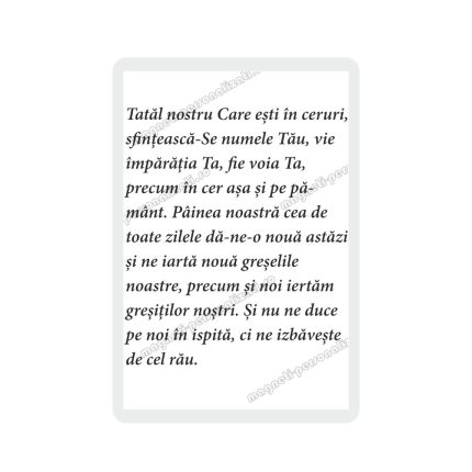Set 100 Iconite Plastifiate, 02, Iisus Sihastria