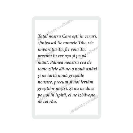 Set 100 Iconite Plastifiate, 03, Iisus Tron