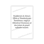 Set 100 Iconite Plastifiate, 65, Sfantul Pantelimon