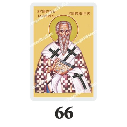 Set 100 Iconite Plastifiate, 66, Sfantul Pangratie