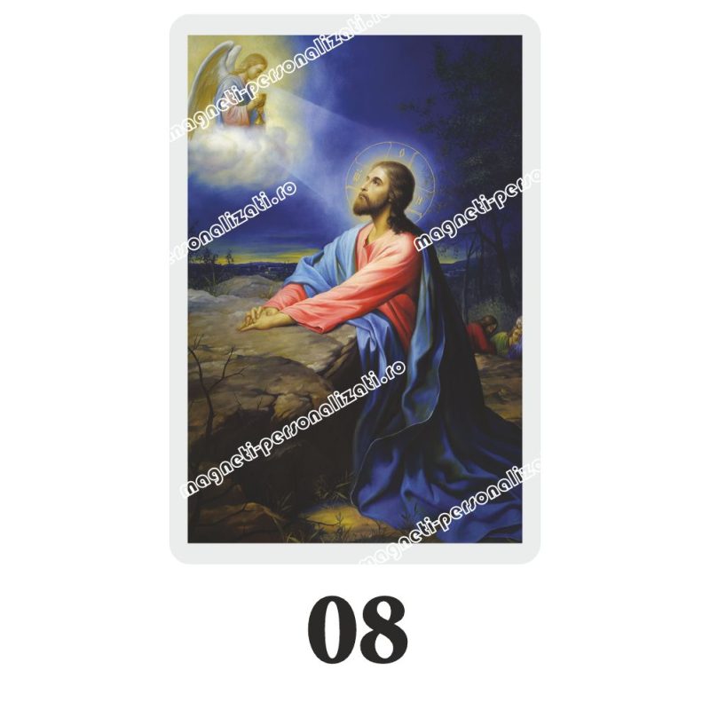 Set 100 Iconite Plastifiate, 08, Iisus Ghetsimani