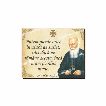 Set 20 magneti din lemn cu mesaje, 272